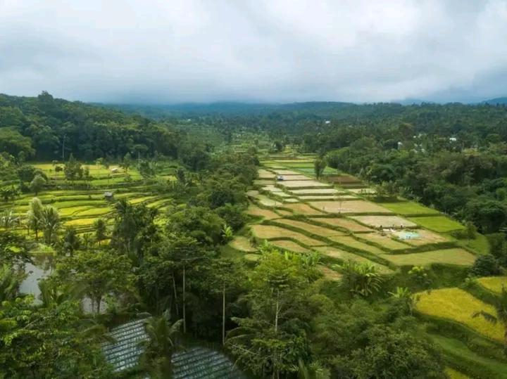 Wina Wani Bungalows Tetebatu Eksteriør billede