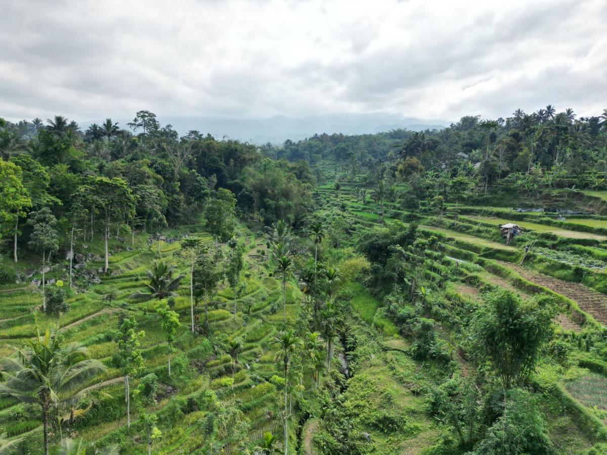 Wina Wani Bungalows Tetebatu Eksteriør billede